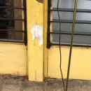  9 800 Ft * Aranysárga állólámpa ( 120 mag)  260102_036