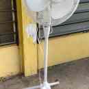 3 800 ft * Pr - kuma álló ventilátor ( 130mag) 260317_013